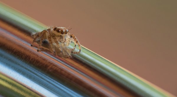 SL20fohaP2104741.jpg