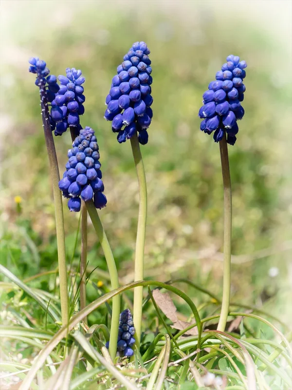 ci_PG9_4693.webp