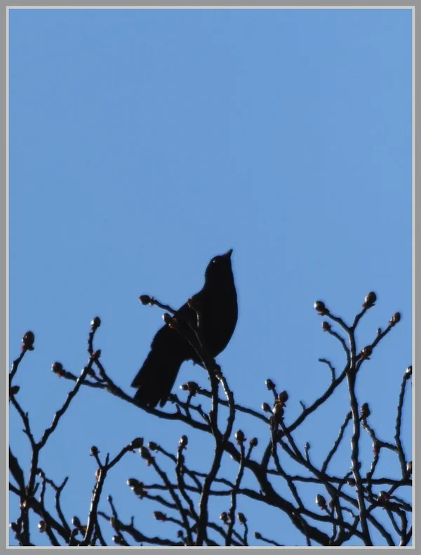 _small__IMG1837_1_DxO.webp