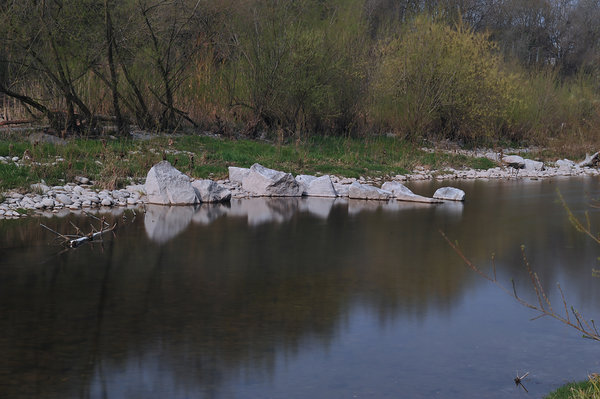 DSC_7958.jpg