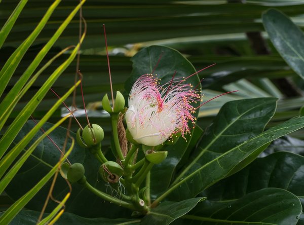 SL20fohaP2154830.jpg