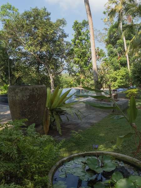 SL20fohaP2195240.jpg