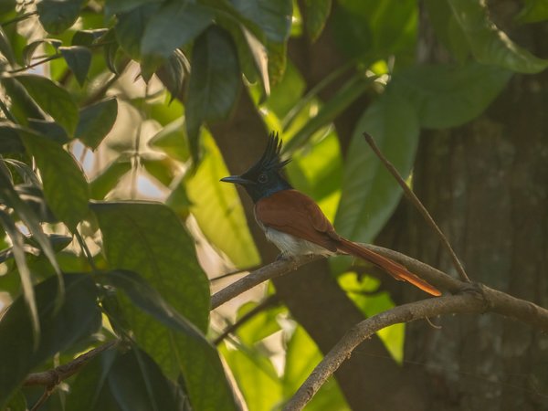 SL20fohaP2174964.jpg