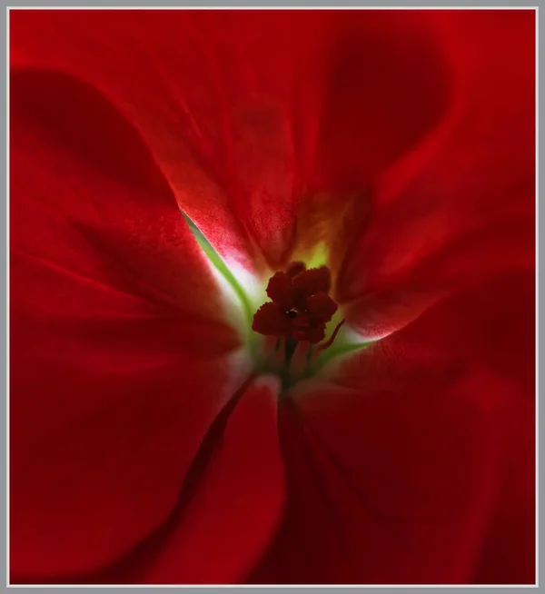 _small__IMG1924_1_DxO_DxO.webp