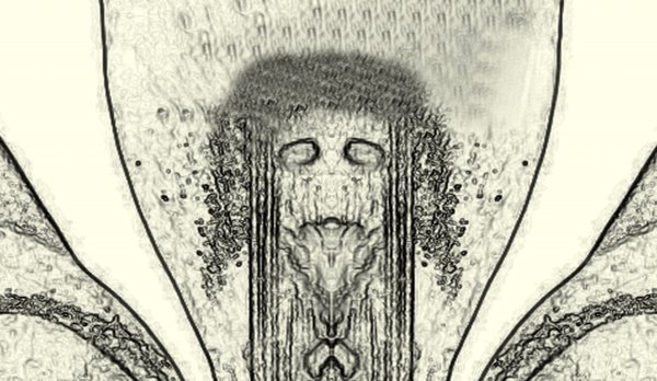 WKaktusQeraufSchwarzSL2LMacro60mmFANTASMÄNNERKOPFSCHWARZWEISSjVARDICKERpg_720x417.jpg