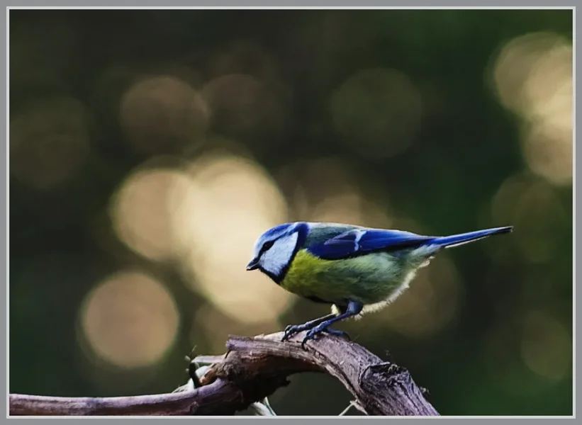 _small__IMG1991_1_DxO.webp