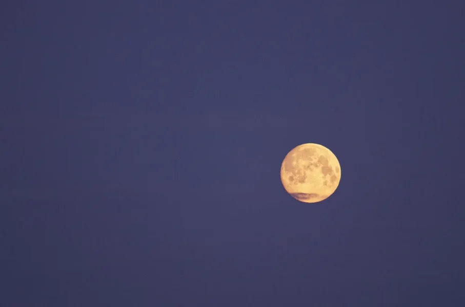 _IGP9727_DxO.webp