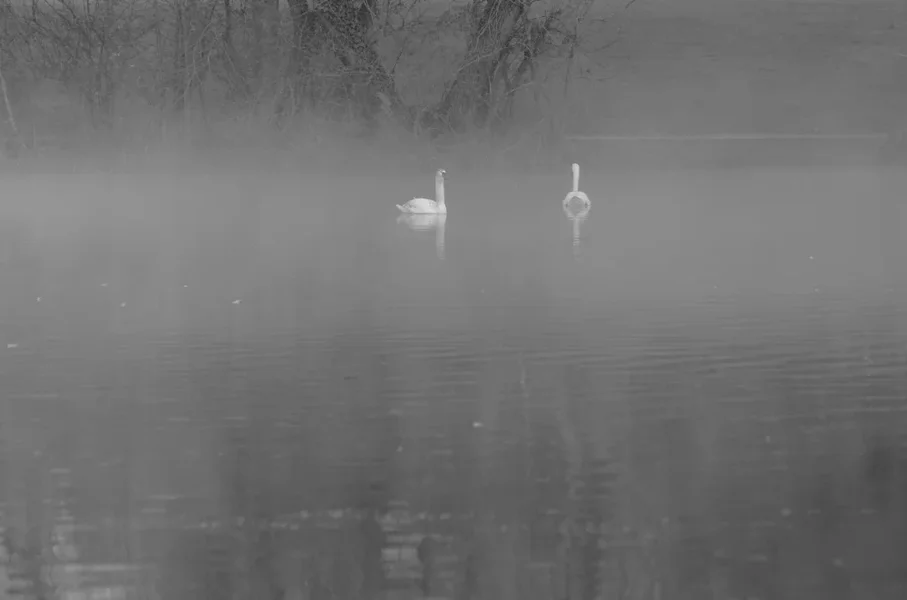 _IGP9737_1_DxO.webp