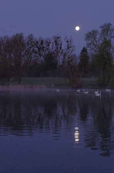 _IGP9733_DxO.jpg