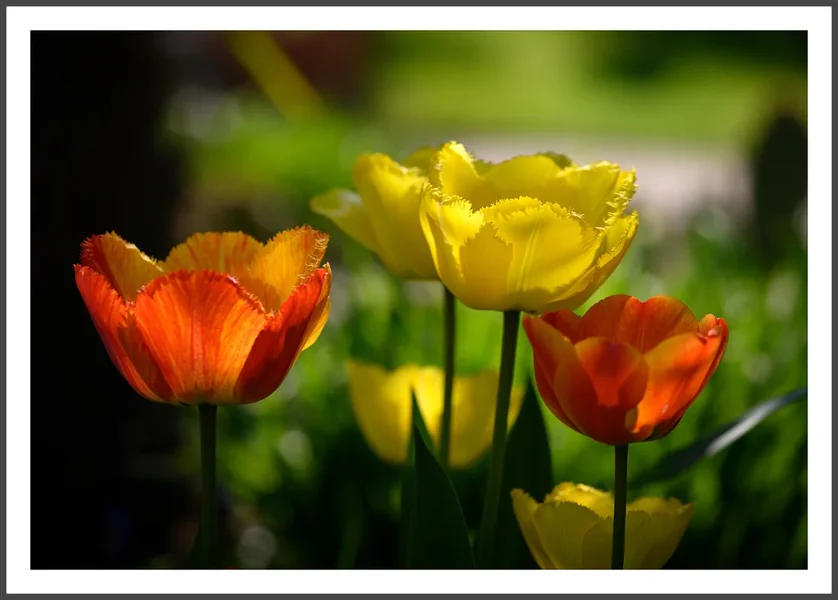 DSC_2928-2.webp