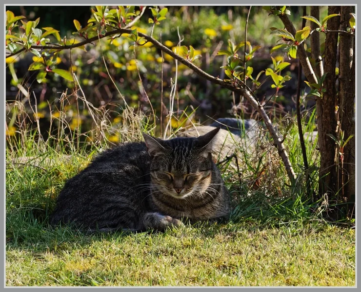 _small__IMG2025_1_DxO.webp