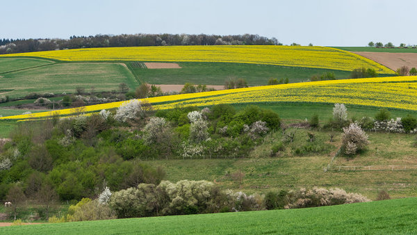 ci_PG9_5265.jpg