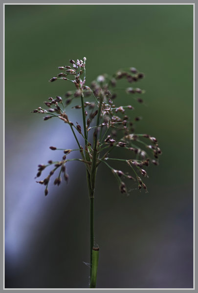 _small__IMG2040_1_DxO.JPG