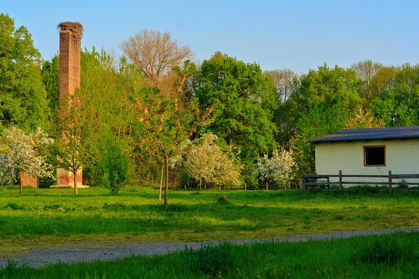 2011-2020_STÖRCHE_MG_0786.jpg