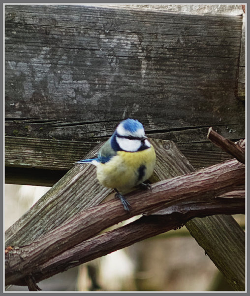 _small__IMG2055_DxO.JPG