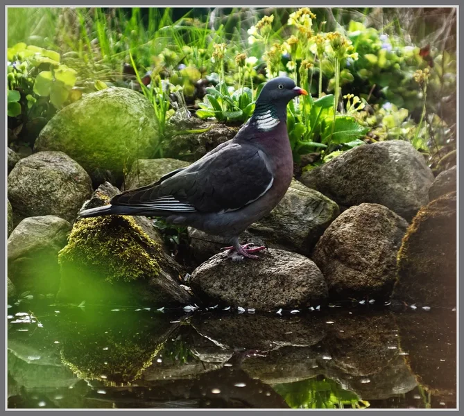 _small__IMG2089_1_DxO.JPG