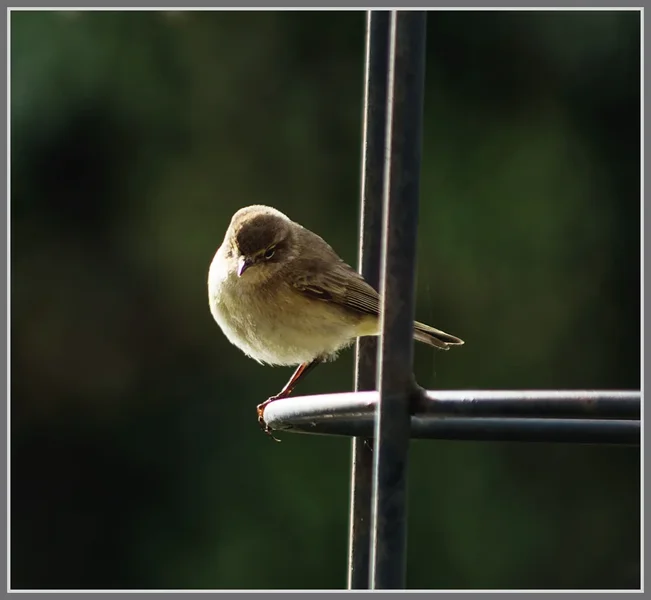 _small__IMG2097_1_DxO.webp