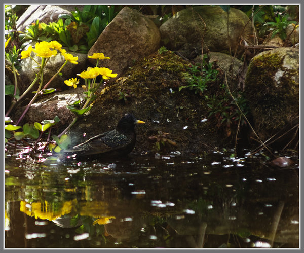 _small__IMG2113_1_DxO.JPG