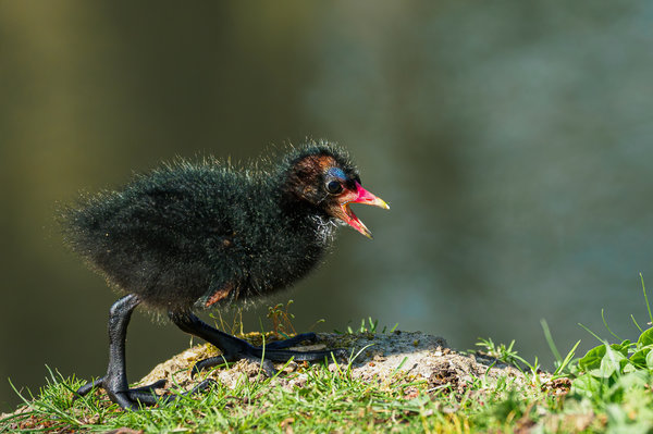 Beller Mühle Park 2020_244.jpg Beller Mühle Park 2020_244.jpg