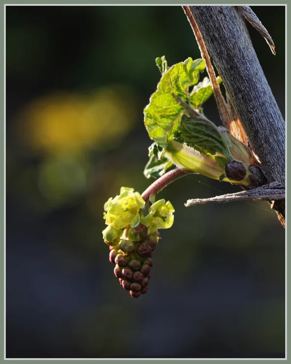 _small__IMG2141_1_DxO.webp