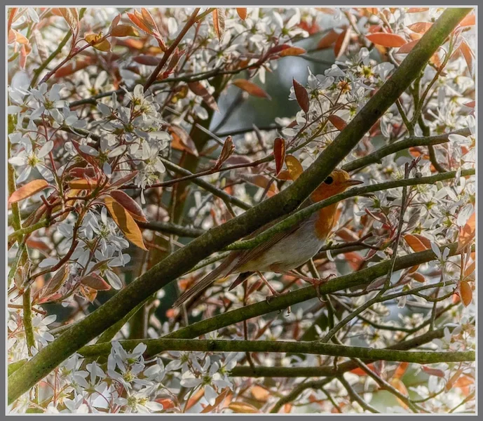 _small__IMG2022_M_Nik_HDR.webp