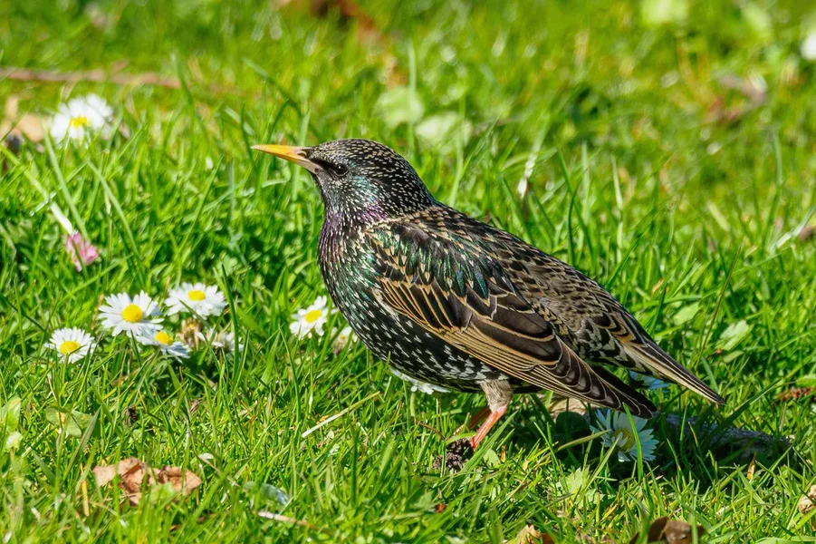 Beller Mühle Park 2020_119.webp