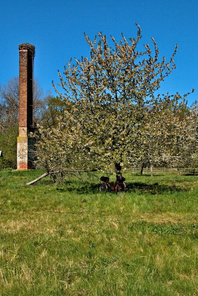 2020-04-19_AM_ KLEINEN_ SEE_CANON_70D_MG_0007.jpg 2020-04-19_AM_ KLEINEN_ SEE_CANON_70D_MG_0007.jpg