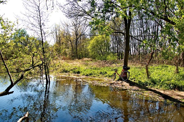 2020-04-19_AM_ KLEINEN_ SEE_CANON_70D_MG_0191.jpg