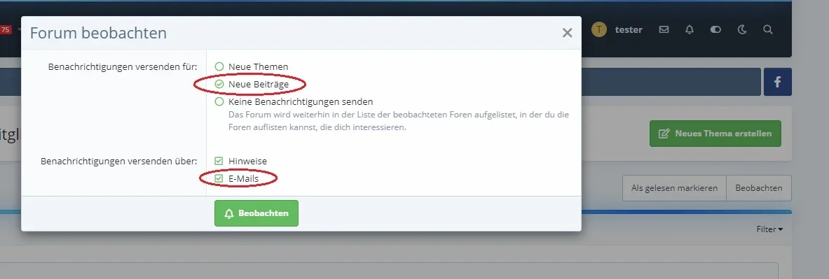 rubrik_beobachten_emails.webp