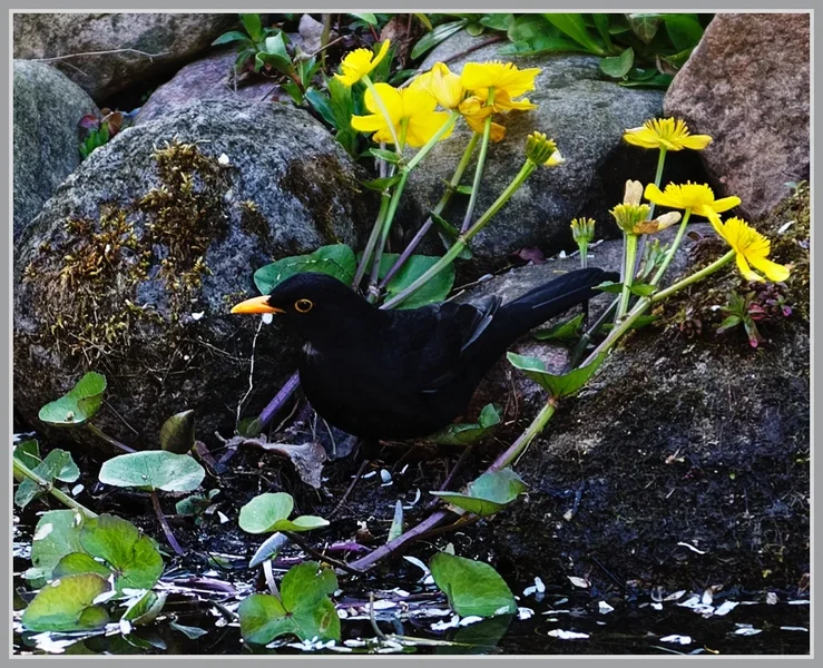 _small__IMG2197_1_DxO.webp
