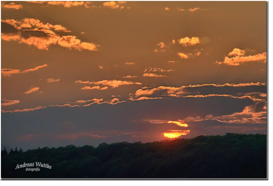 AZ6_3390_C1-HDR(3).webp