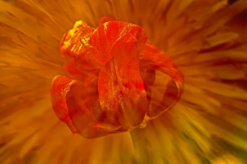 K3__9384-1.jpg