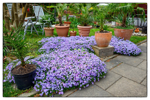 Garten.jpg