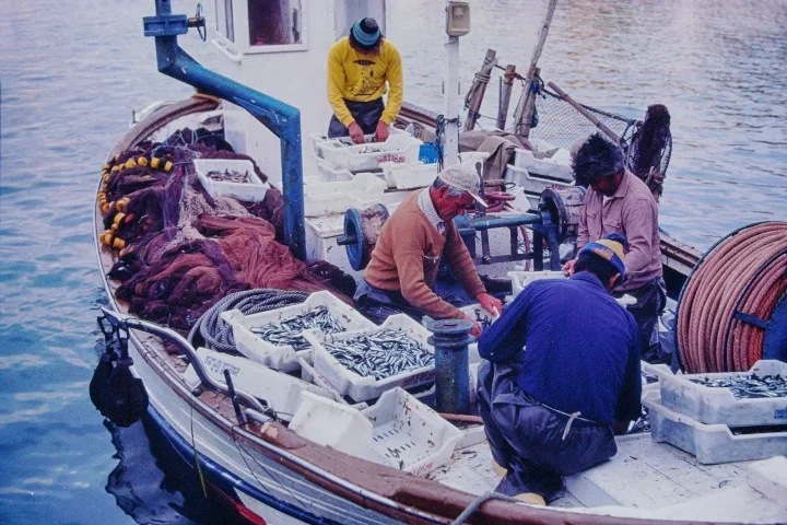 FischermFangaufBootMallENDVERSIONTMPFIN_720x480.webp