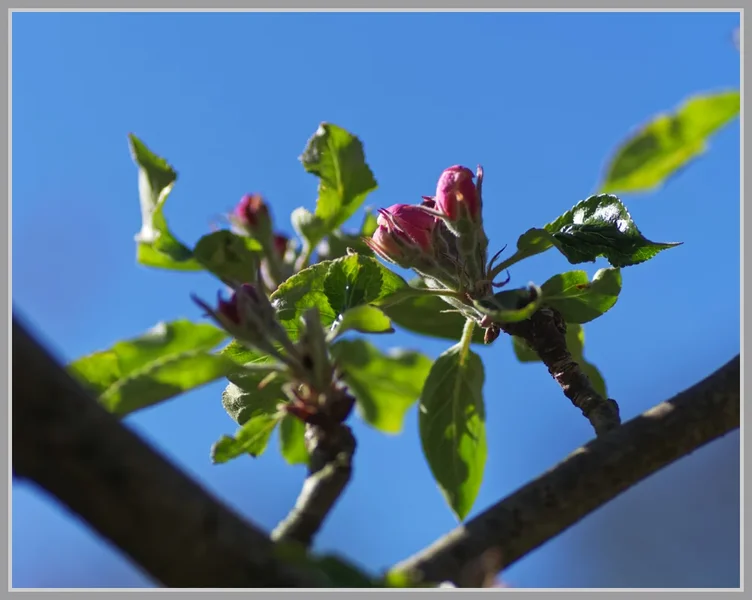_small__IMG2225_1_DxO.webp