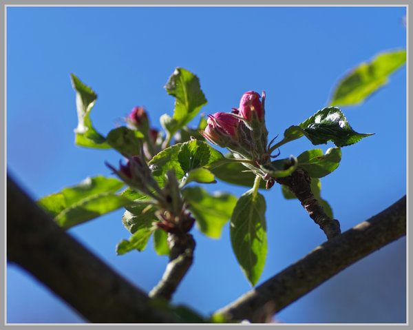 _small__IMG2225_1_DxO.JPG