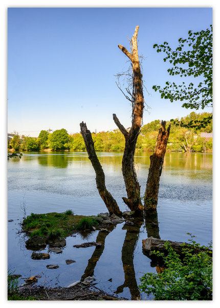 Beuggen 3.jpg