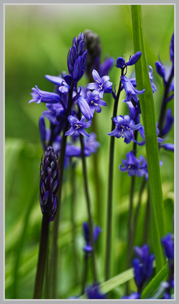 _small__IMG2242_1_DxO.JPG