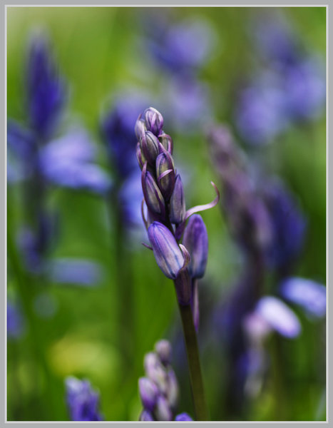 _small__IMG2243_1_DxO.JPG