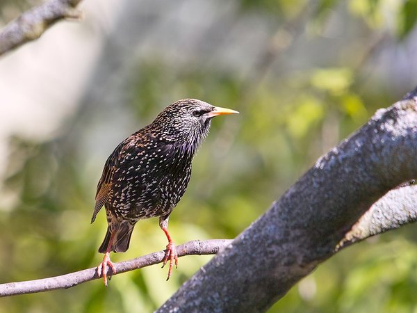 2020-04-27_STARE_VOR_DER_TÜRSDIM0416.jpg