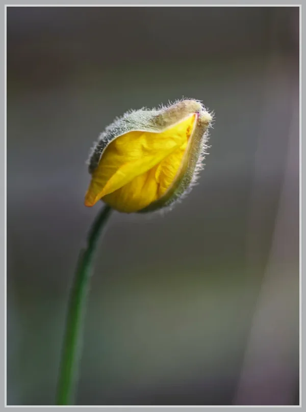 _small__IMG2249_1_DxO.webp _small__IMG2249_1_DxO.webp