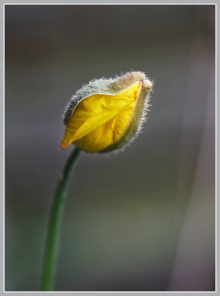 _small__IMG2249_1_DxO.JPG