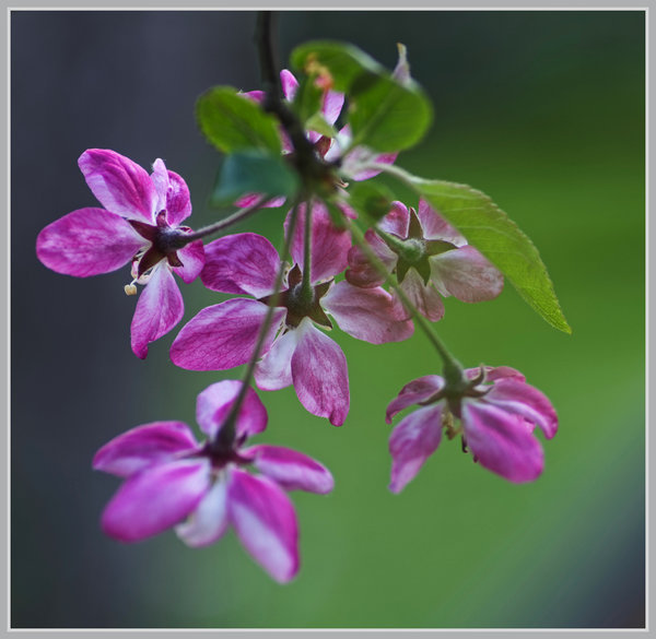 _small__IMG2252_1_DxO.JPG