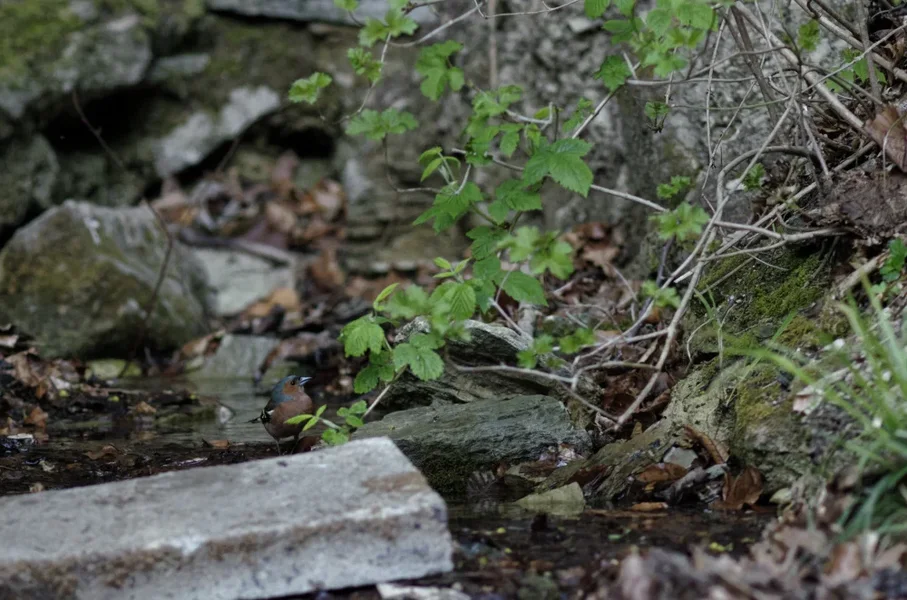 _IGP0126_DxO.webp