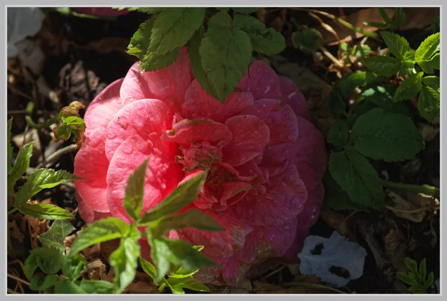 _small__IMG2358_2_DxO.webp