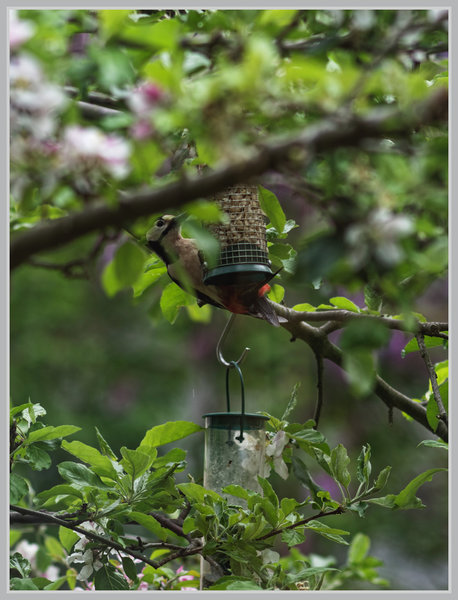 _small__IMG2389_1_DxO.JPG
