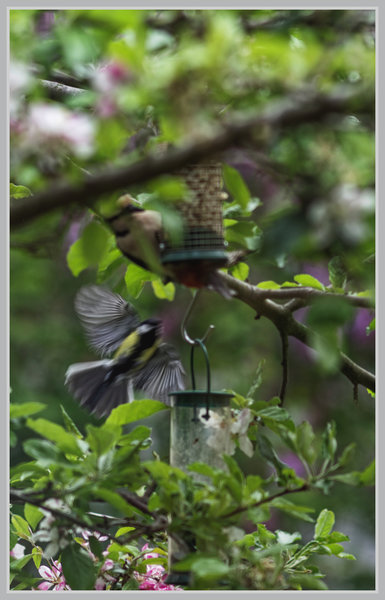 _small__IMG2390_DxO.JPG