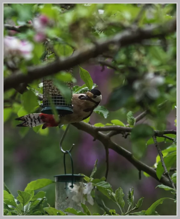 _small__IMG2420_1_DxO.webp