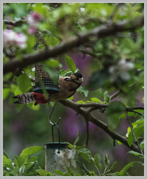 _small__IMG2420_1_DxO.JPG
