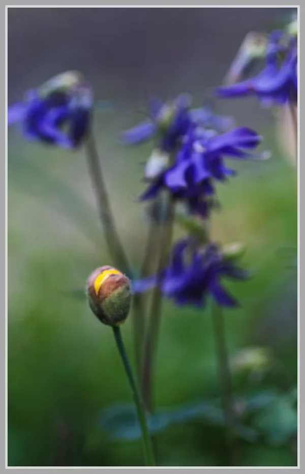 _small__IMG2479_1_DxO.webp